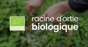 racine-ortie-bio-gelules