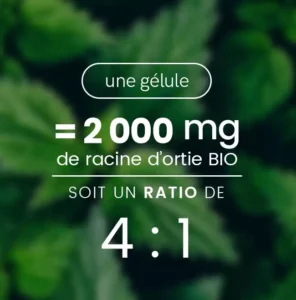 racine-ortie-biologique-gelule