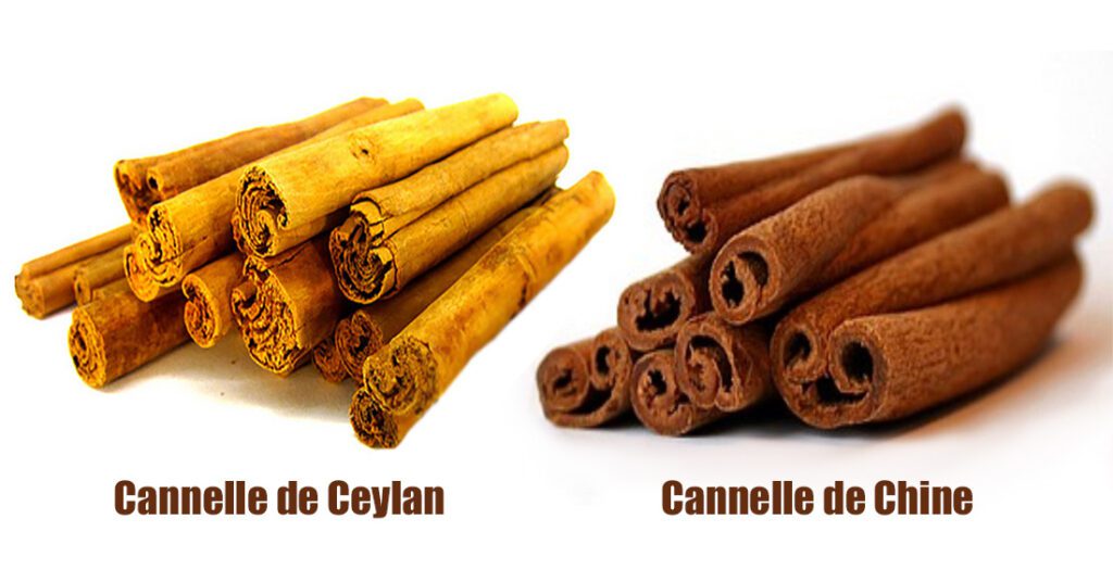 Les multiples vertus de la Cannelle Bio