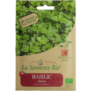 semence-basilic-citron-bio semence-basilic-citron-bio