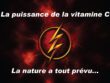 La-puissance-de-la-vitamine-C