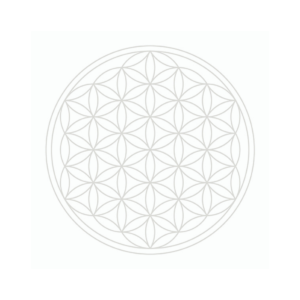 fleur-de-vie-blanche