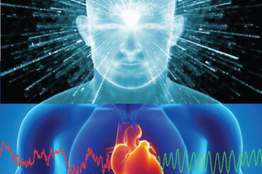 Soigner l’alcoolisme et la dépression avec des psychédéliques