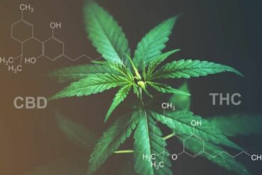 Comment prévenir l’ostéoporose