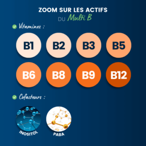 Complexe vitamines B - 8 vitamines B associées à 2 cofacteurs – Image 2