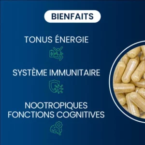 Complexe vitamines B - 8 vitamines B associées à 2 cofacteurs – Image 3