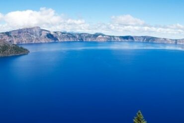 Le silicium une solution pour éliminer l’aluminium et contribuer à éliminer les maladies neurologiques